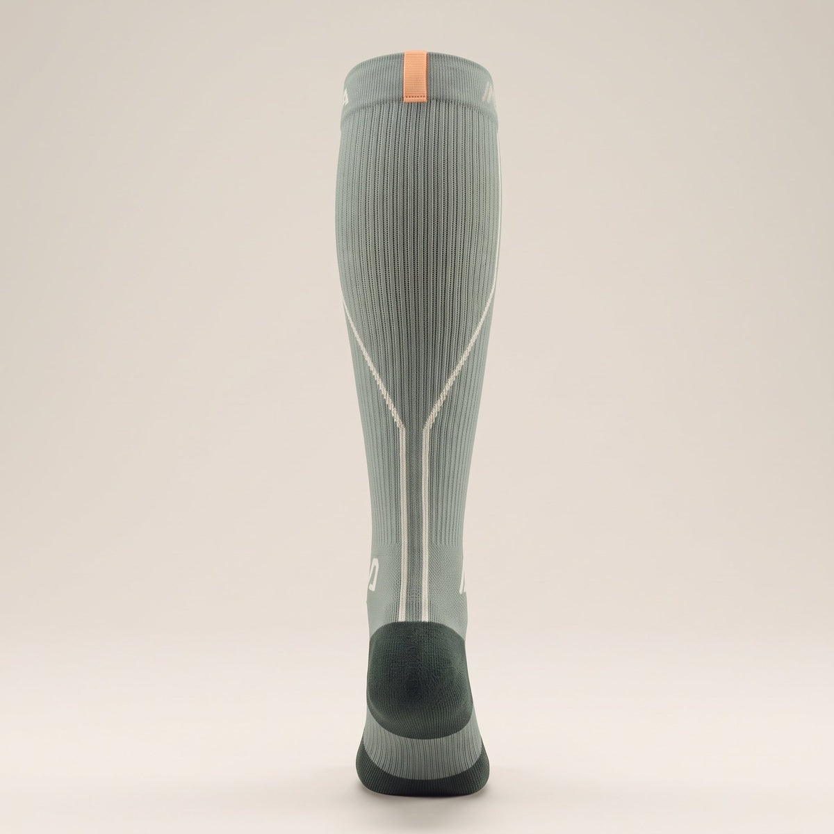 AERA Sage Horizon compression running sock – back